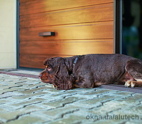 В гараж — на любых колесах