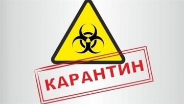 Организация работы компании ARTNIKA на период карантина и Новогодних праздников