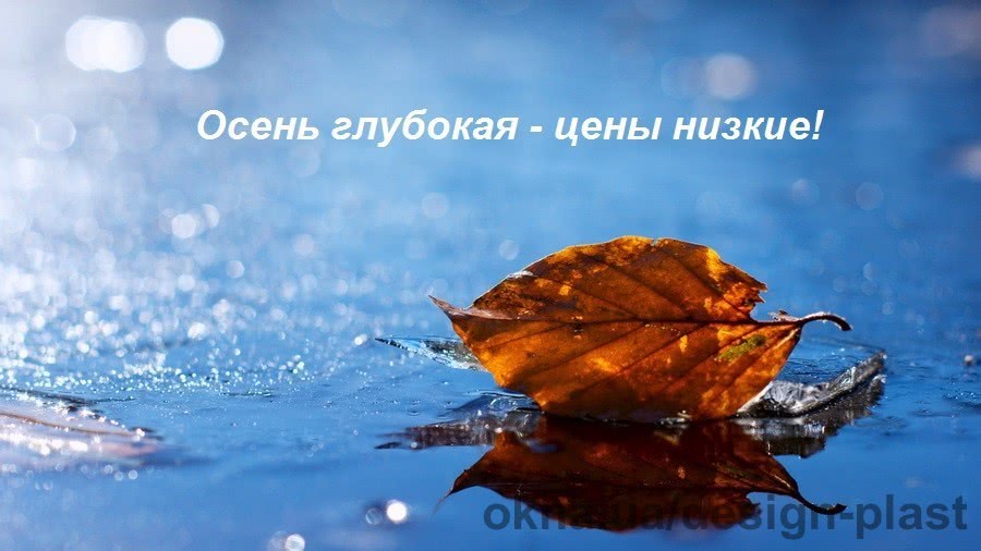 Снижение цен! Осень глубокая – цены низкие