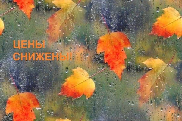 Цены снижены в преддверии зимы! Цены снижены в преддверии зимы!
