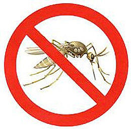 Сетки от комаров за 1 день!
