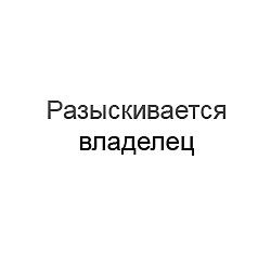 В почтовом отделении в Киеве на Новобеличах найден кассовый аппарат в одном пакете с блокнотами OKNA. ua.