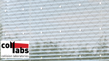 Glass visible to birds used in special insulating glass units with built-in blinds