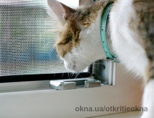 Компания Открытые Окна начала производство москитной сетки Антикошка - идеальное решение для владельцев животных