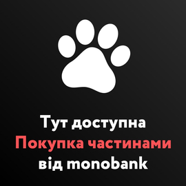 Вікна Стеко в Житомирі пропонують покупку частинами від monobank