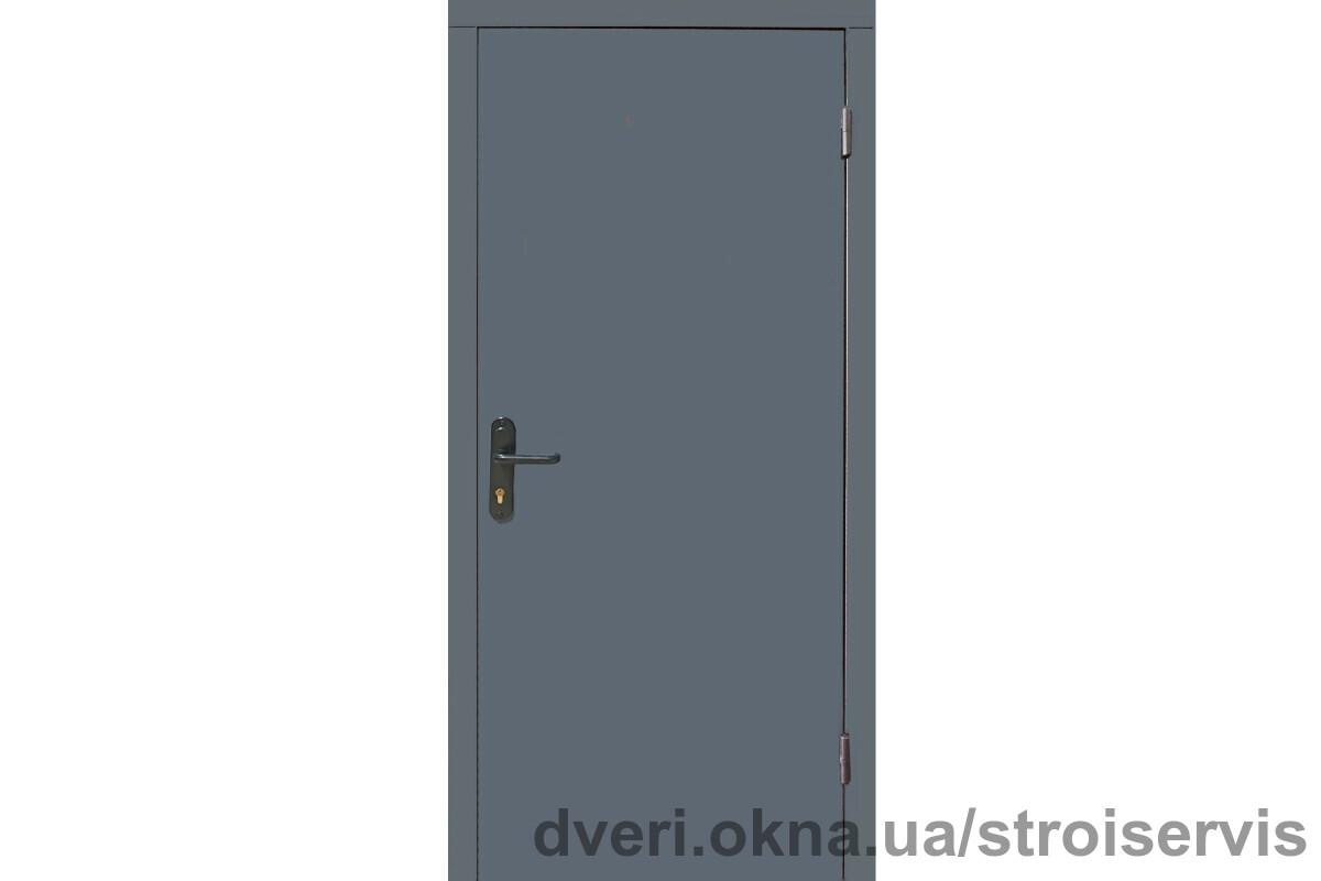 У Стройсервис распродажа технической металлической входной двери