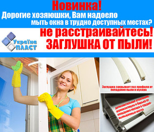 Новинка! `Заглушка от пыли и мусора для домохозяек`