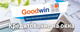 Начинаем продаж Окон Goodwin в рассрочку!