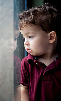 Металлопластиковые окна REHAU и «Лето доброты»