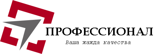 Профессионал Профессионал