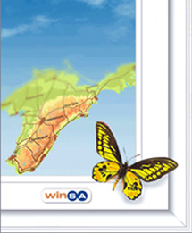 Winsa Winsa