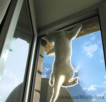 Москитная сетка 