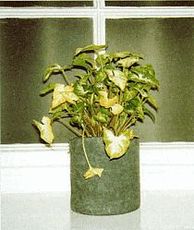 Окно на дачу средний ценовой сегмент с подоконником