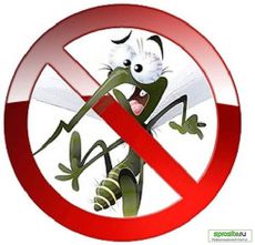 Ремонт и изготовление москитных сеток