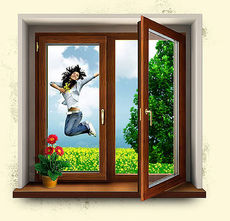 Металлопластиковые окна и двери Rehau