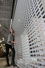 Роллеты из экструдированного профиля