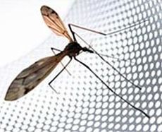 Антимоскітні сітки (різних типів)