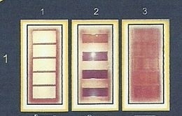 Дерев’яні двері Дерев’яні двері