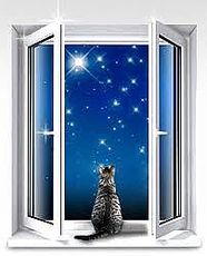 Окна металлопластиковые WDS 8 SERIES в Луганске