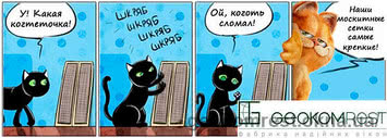 Защити дом от комаров, а кошек от полетов.
