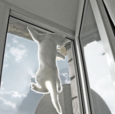 Сетки москитные для защиты от насекомых от компании Good Master