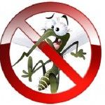 москитные сетки, качественно и в срок