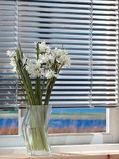 Горизонтальные жалюзи