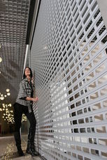 Ролетные решетки