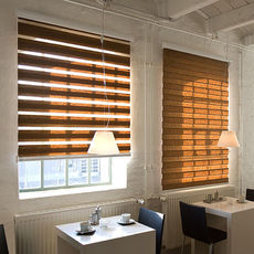 Рулонные шторы "день-ночь"