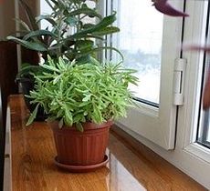 Подоконники DANKE