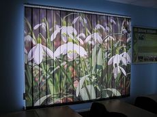 Шторы жалюзи с фотопечатью, фотожалюзи в Виннице