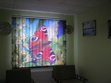 Жалюзи ролетніе с изображением в Виннице