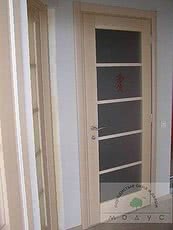 Модель Симбиоз двери Модус Днепр