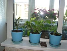 П образный балкон, с двумя открываниями, эконом вариант.