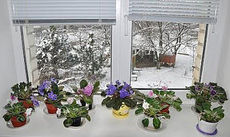 Мастерством Вас удивим, от зимы Вас защитим! Окна WDS - недорого.