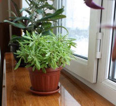 Подоконниеи Danke