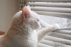 Горизонтальные жалюзи любых цветов и оттенков