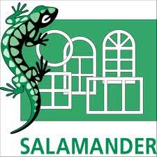 Окна Salamander.