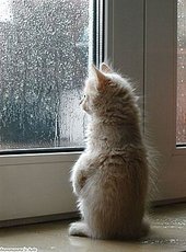 окна под ключ