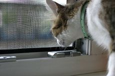 Антимоскитные сетки на окна и двери, сетка-антикошка