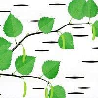 Панели ПВХ с термопереводом.бесшовные от производителя"Стимекс"