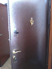 Изготовление полуторных входных дверей.