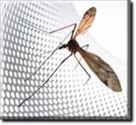 Москитные сетки.