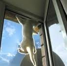 Сітки від комарів