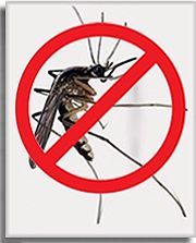 Москитные сетки от 280грн. за шт От завода Стеко бесплатная доставка. Доставка бесплатно.