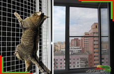 Защитная сетка «Антикошка» Киев