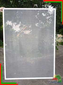 Защитите своего любимца! Покупайте сетку Защитите своего любимца! Покупайте сетку