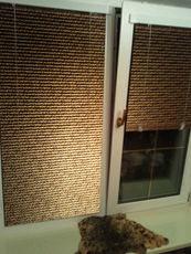 Жалюзи, рулонные шторы, плиссе