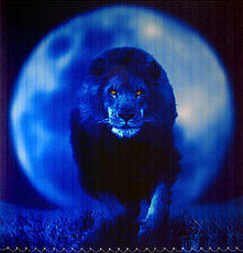 Фотожалюзи, нанесение рисунка или логотипа на жалюзи