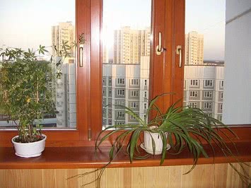 Деревянное окно по цене ламинированных металопластиковых окон (Киев)